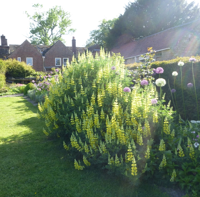 Shandy Hall Gardens